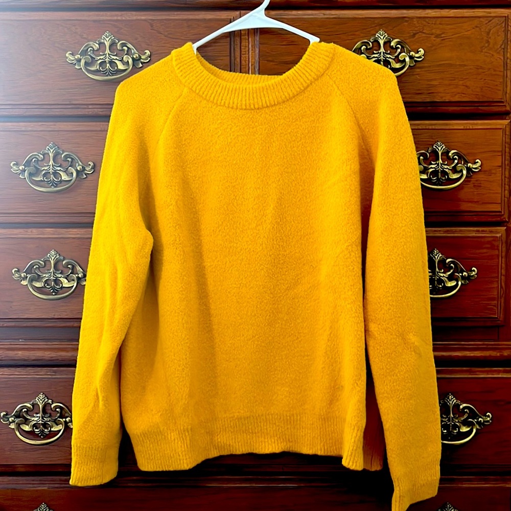 Philosophy Sweater